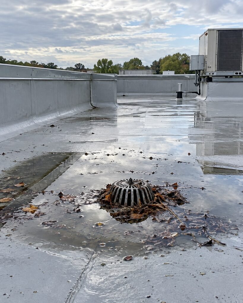 Standing rainwater pooled around a roof drain clogged with leaves on a flat roof